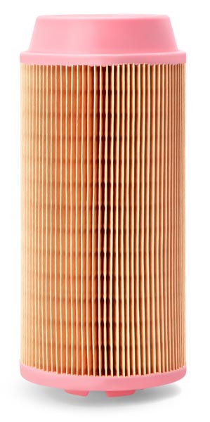 Air Filter AF26387