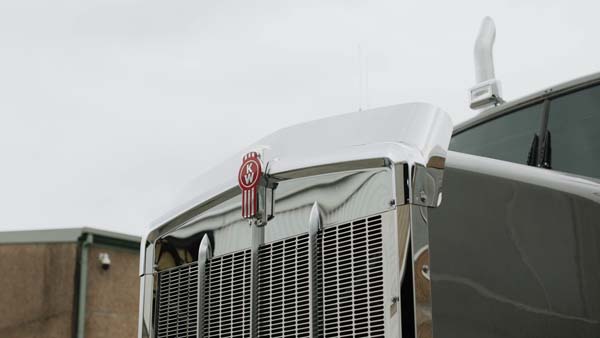 Bug Deflector BD909